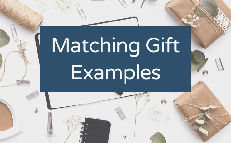 Matching Gift Examples